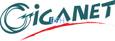 Giganet